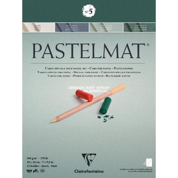 Pastelmat blok n°5 360 gram 18x24cm groen 12 vellen Clairefontaine 96113C