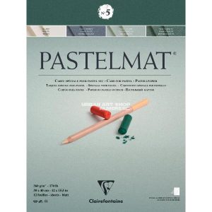 Pastelmat blok n°5 360 gram 30x40cm groen 12 vellen Clairefontaine 96115C